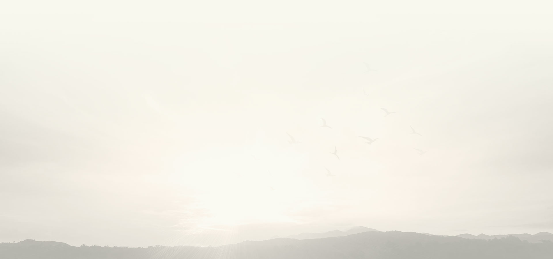 background-img